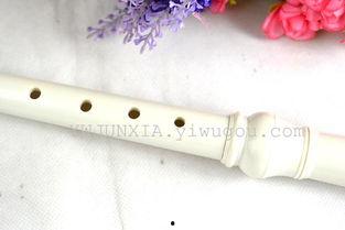 笛子成人玩具视频教程,轻松入门，享受音乐之美