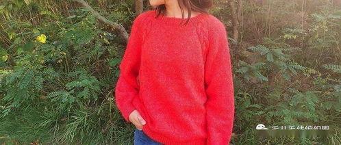 成人毛衣明制教程视频,跟随明制教程视频制作成人毛衣