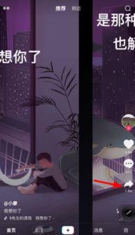 成人朗读合拍模板视频,解锁朗读新境界