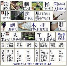 成人识字打字教程视频,视频学习攻略