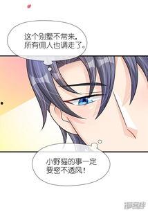 成人恋爱漫画视频,甜蜜瞬间与情感纠葛