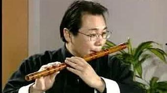 笛子成人演奏视频大全集,笛子成人演奏视频大全集精华回顾