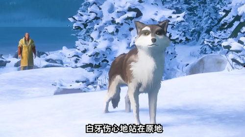 狼变成人的故事视频,神秘变身之旅