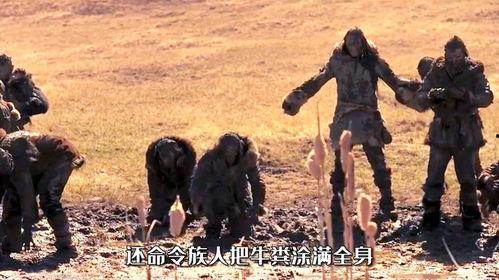 狼变成人的故事视频,神秘变身之旅